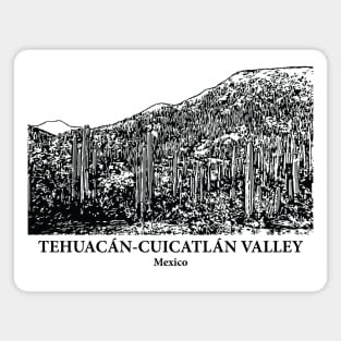 Tehuacán-Cuicatlán Valley - Mexico Magnet